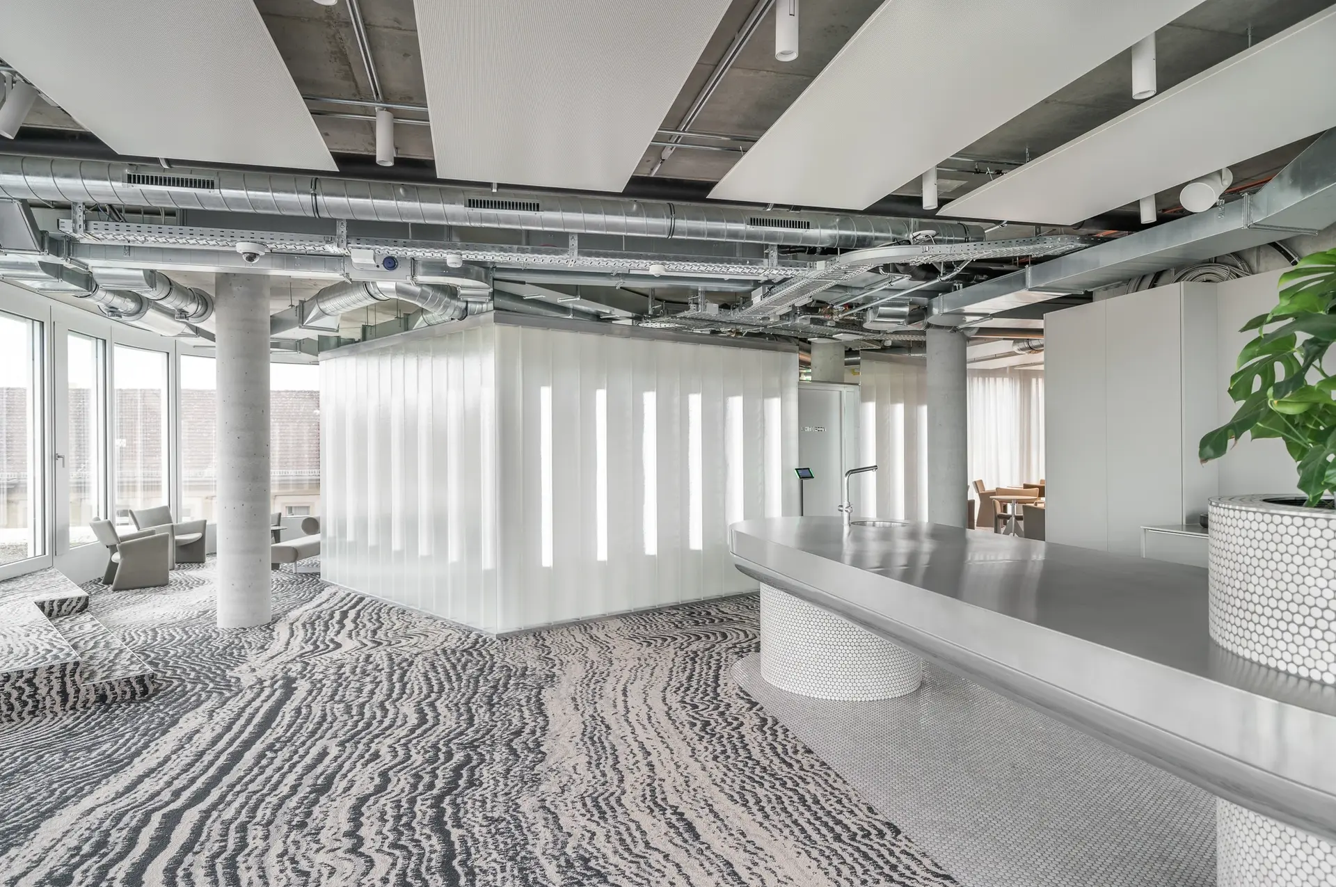 d133a5_eda53d00d0634433ba91ab3b6af08c6b~mv2